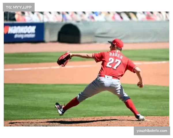 美国棒球研究协会发布青少年投手健康指南，强调休息与动作训练重要性